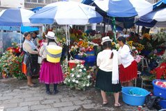 ecuador3787