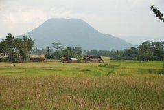 indonesie1151