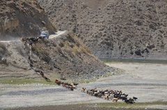 tadzjikistan3341