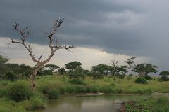 tanzania4072