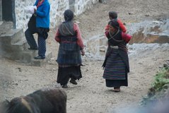 tibet1055