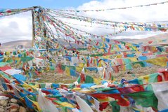 tibet1077