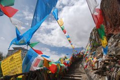 tibet5780