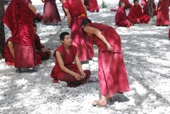 tibet6275