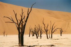 Namibië: Sossusvlei