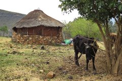 Lesotho: Dorp