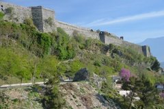 albanie5032