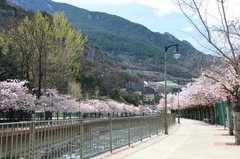 andorra1079
