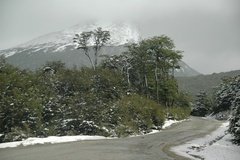 argentinie4025