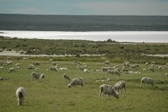 argentinie6401
