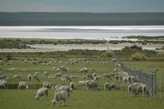 argentinie6402