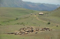 armenie2110