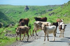 armenie3024 armenie3024