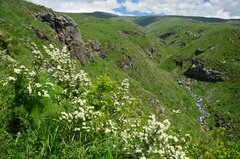 armenie3058 armenie3058