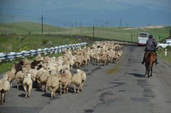 armenie5003