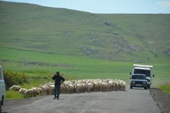 armenie5032