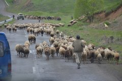 armenie5083