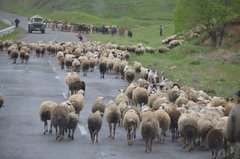 armenie5084