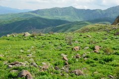 armenie5106