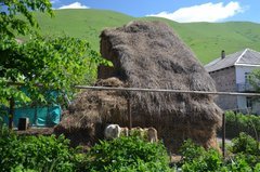 armenie6006