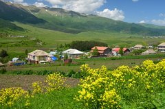 armenie6008