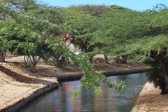 aruba5086