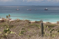 aruba5099