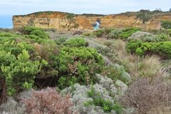 australie2539