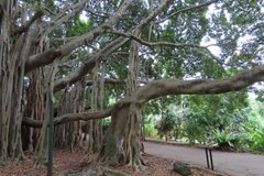 australie3150