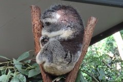 australie3202