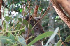 australie3217