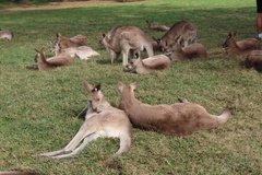 australie3226