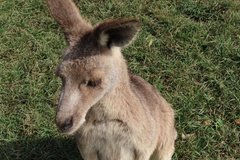 australie3233