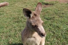 australie3234