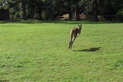 australie3235