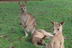 australie3244