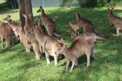 australie3248