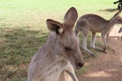australie3257