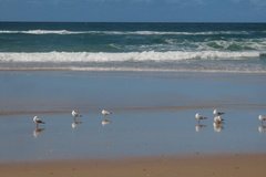 australie3514