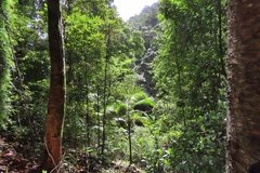 australie3754
