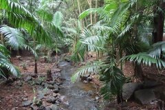 australie3784