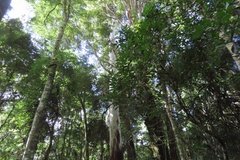 australie3788