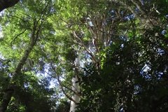 australie3789
