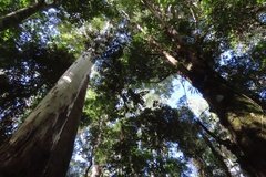 australie3790