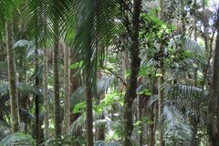 australie3794