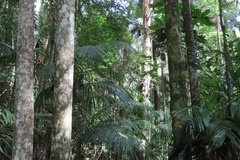 australie3796