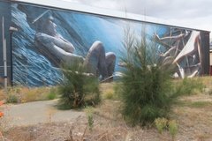 australie4083