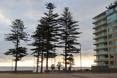 australie4263