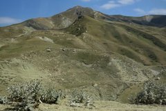 azerbeidzjan2050