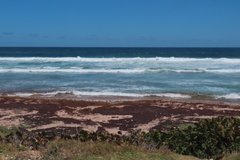 barbados1108